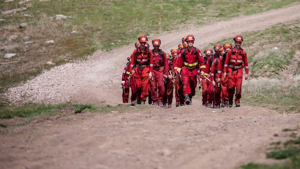 DocWeb_BC's tweet card. A fire ecologist says new provincial funding to expand the B.C. Wildfire Service to a year-round endeavour is a welcome step toward preventing disasters, while others in the field say the funds could...
