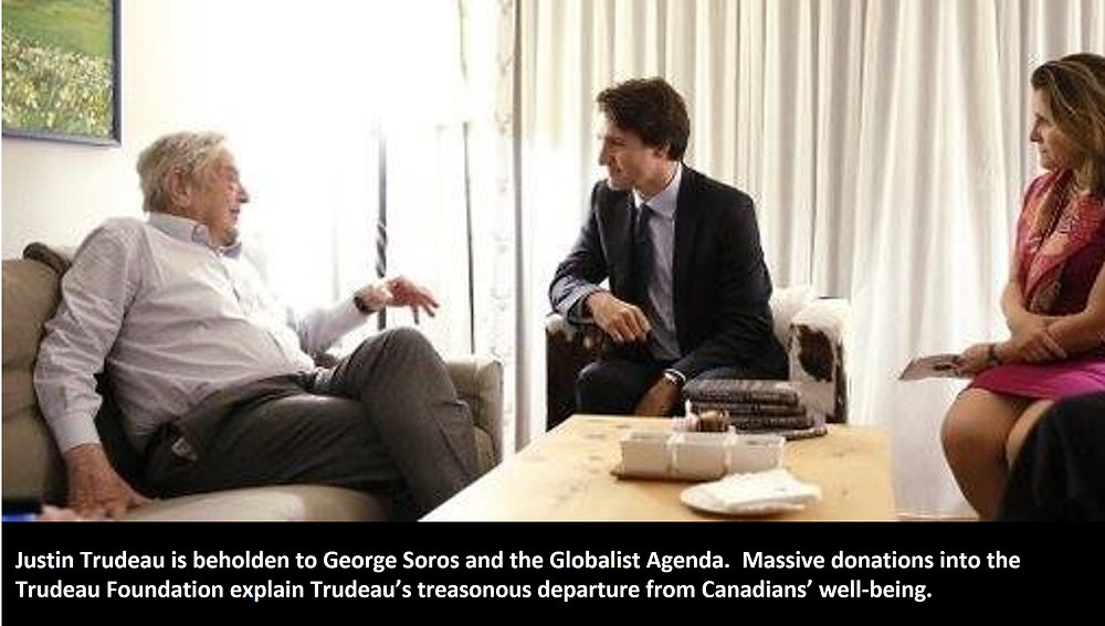 LightReflectOn's tweet card. 1000% Increase in Foreign Donations to Trudeau Foundation brings InquiryFebruary 12, 2022: According to an article from the National Post, foreign donations to the Pierre Trudeau Foundation began to...