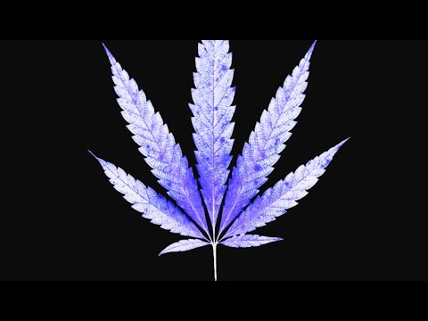 thacheatxcode's tweet card. CHEATxCODE • GET HIGH [𝐋𝐲𝐫𝐢𝐜 𝐕𝐢𝐝𝐞𝐨]