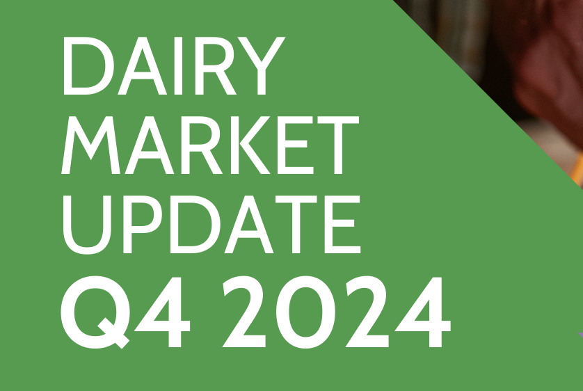 CheeseSolutions's tweet card. Dairy Market Report Q4 2024 | Ingredient Solutions
