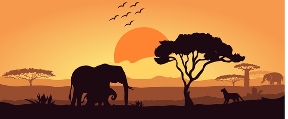 phpconference's tweet card. Marking PHP’s 30th anniversary, this interview gathers insights from leading experts reflecting on the language’s evolution, resilience, and enduring impact on the web. From its role in the dot-com...