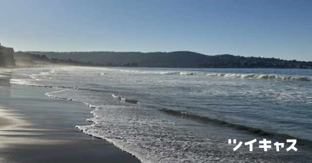 ValleyRhythms's tweet card. Resist to Exist - 配信万歳！ (男子：顔出し)