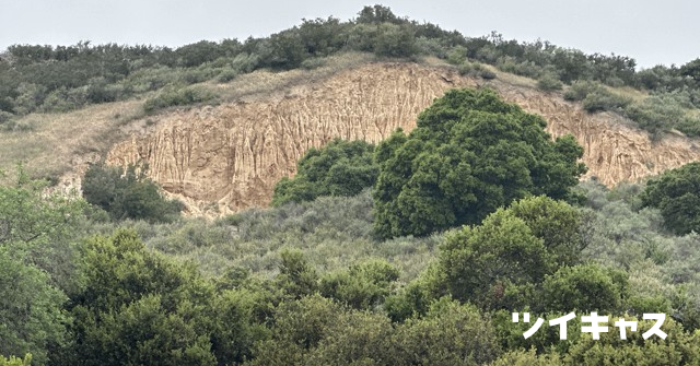 ValleyRhythms's tweet card. 海外旅行は明日だ！ストレス解消のため山に朝散歩行ってくる。 (男子：顔出し)