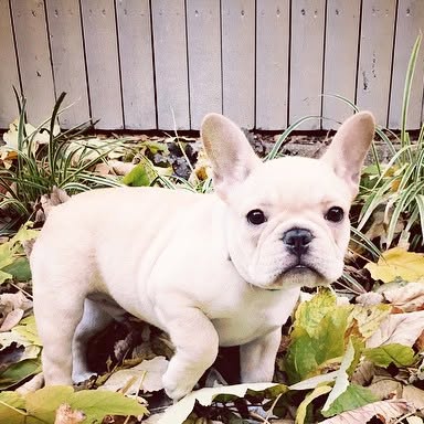 zirycoqadavy's tweet card. Hilary Duff (@hilaryduff) • Instagram photo