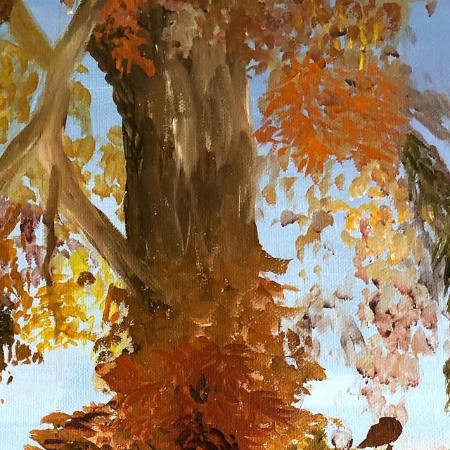 SandyHowarth's tweet card. Sandy Howarth (@sandy_howarth1) • Instagram photos and videos