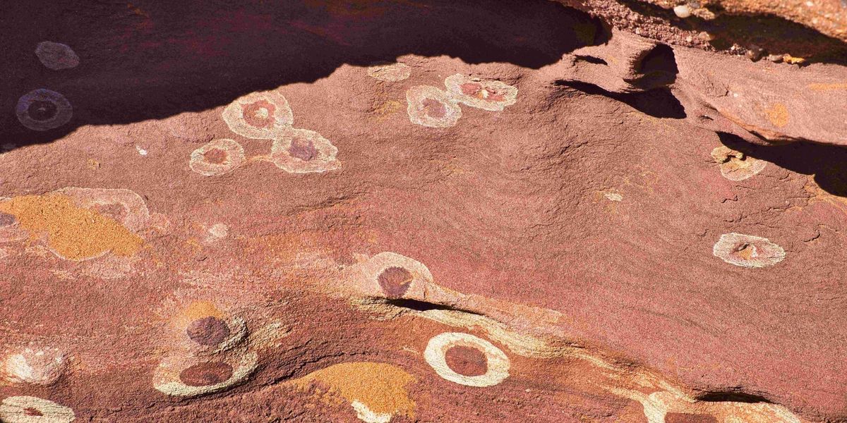 CICbioGUNE's tweet card. An enzyme reconstructed from a three-billion-year-old bacterium widens gene editing capabilities to even more regions of the genome.