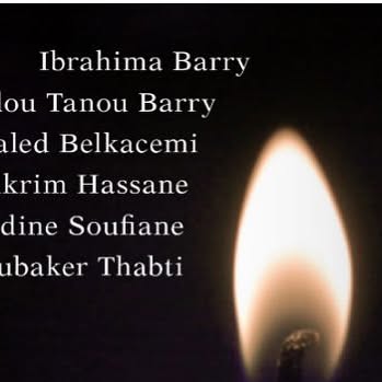 TDSS_Library's tweet card. @tdss_llc • Instagram photo