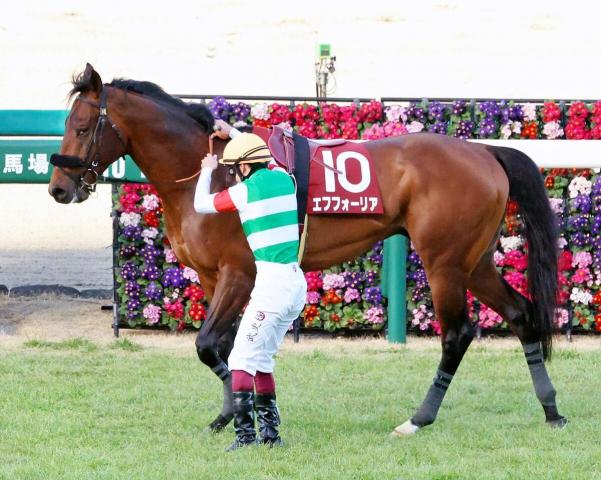 netkeiba's tweet card. 　21年の年度代表馬に輝くなどG1・3勝を挙げたエフフォーリア(牡5歳、美浦・鹿戸雄一厩舎、父エピファネイア)が、電撃引退することが決まった。同馬を所有するキャロットクラブが2月14日、公式ホームペー… No.1競馬情報サイト「netkeiba」の競馬ニュース。