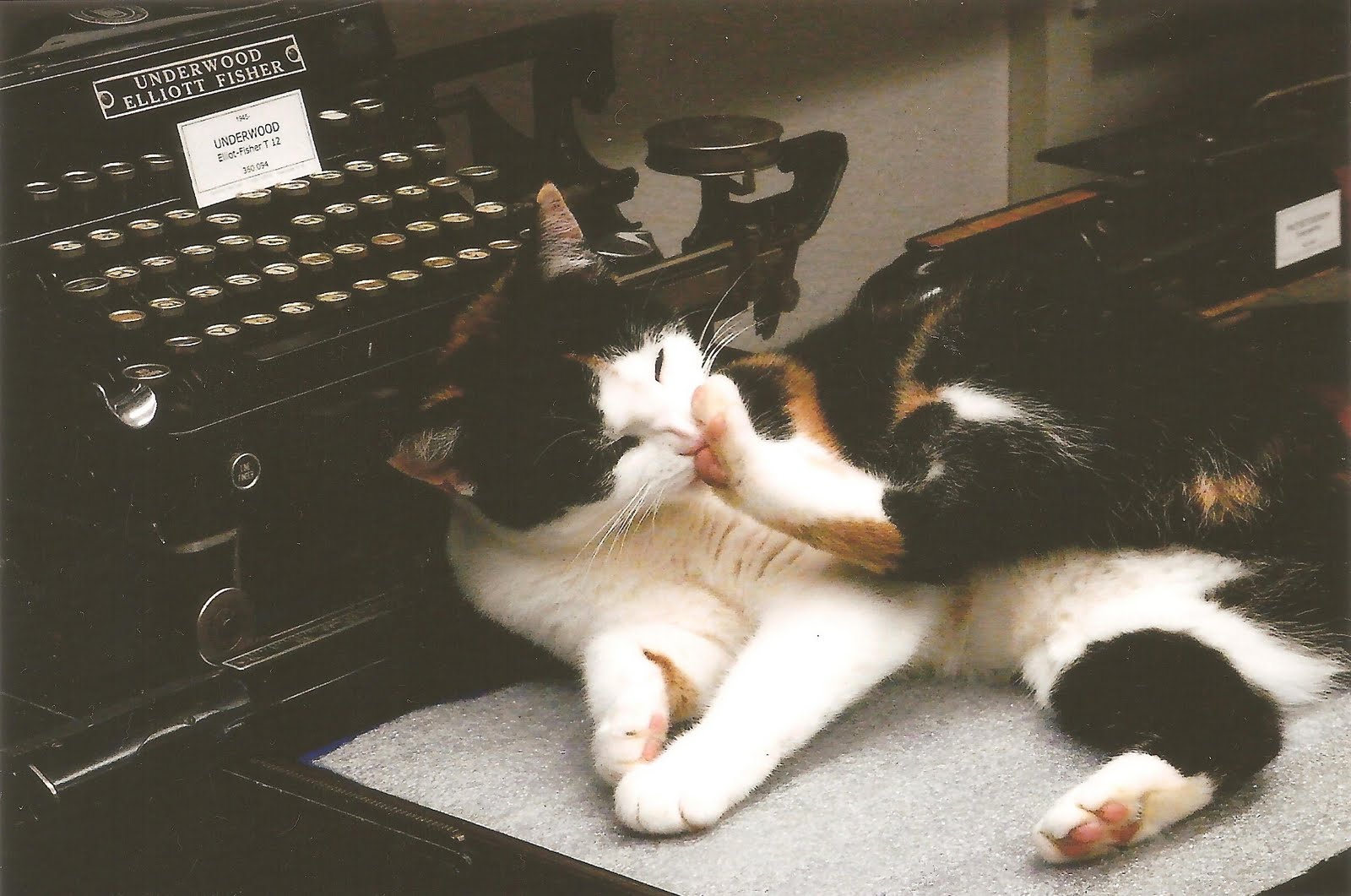 mattbdevaney's tweet card. Power Automate can write a value a specific cell in Excel without that cell being included in a table or write values to range of cells.