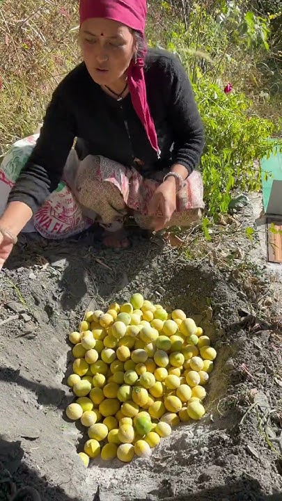 Jitendrakphc's tweet card. फल रखने का तरीक़ा