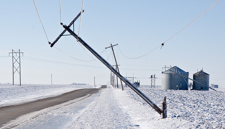 DairyForward's tweet card. Penn State University Extension recently put out a reminder for farmers to check their generators before they actually need them, and to follow safety practices during installation.
