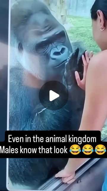 ladyladycoco10's tweet card. máni (@mani_ravenaaa) • Instagram reel