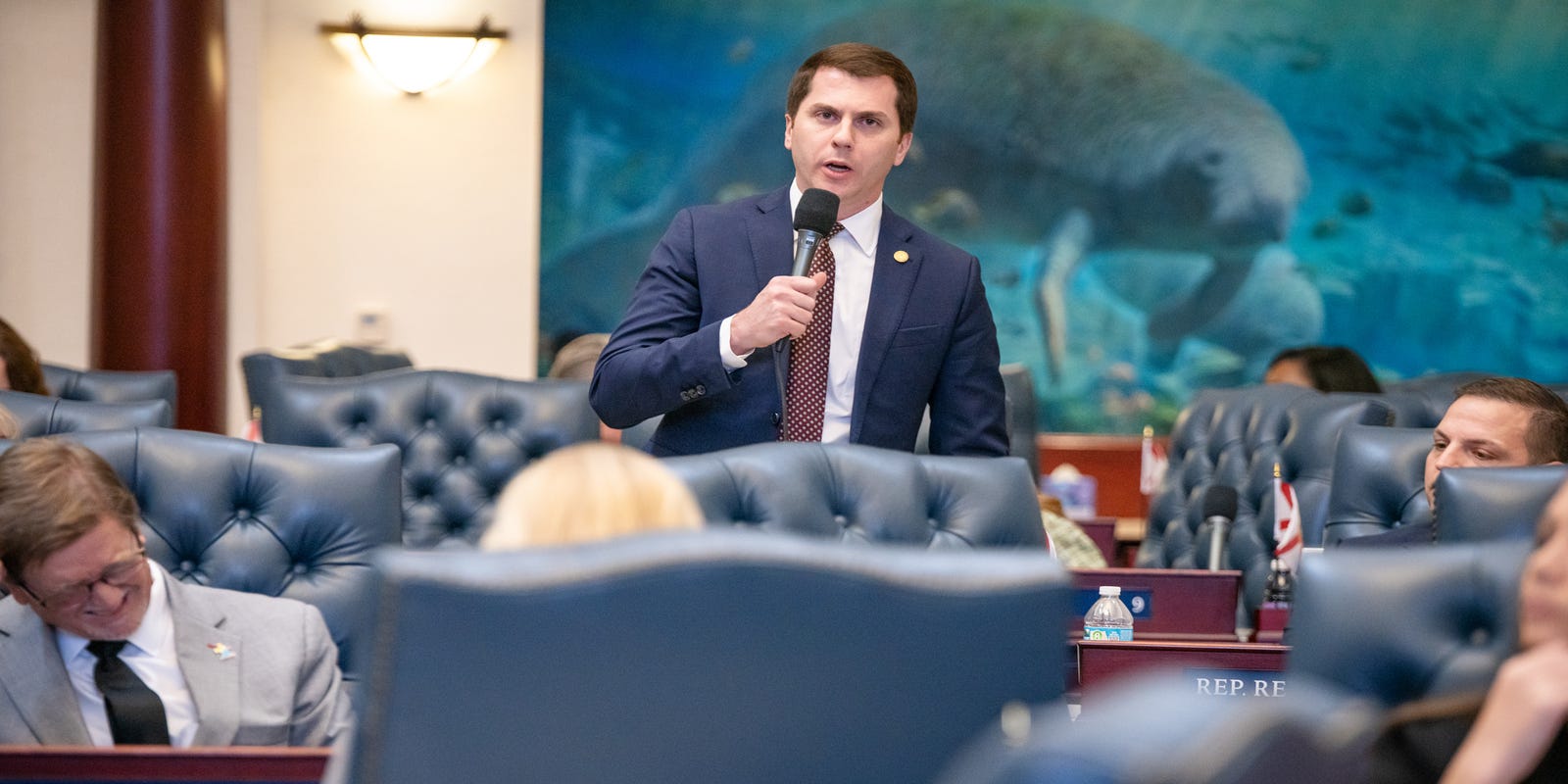 FSView's tweet card. Local and state races are underway for the 2026 midterms.