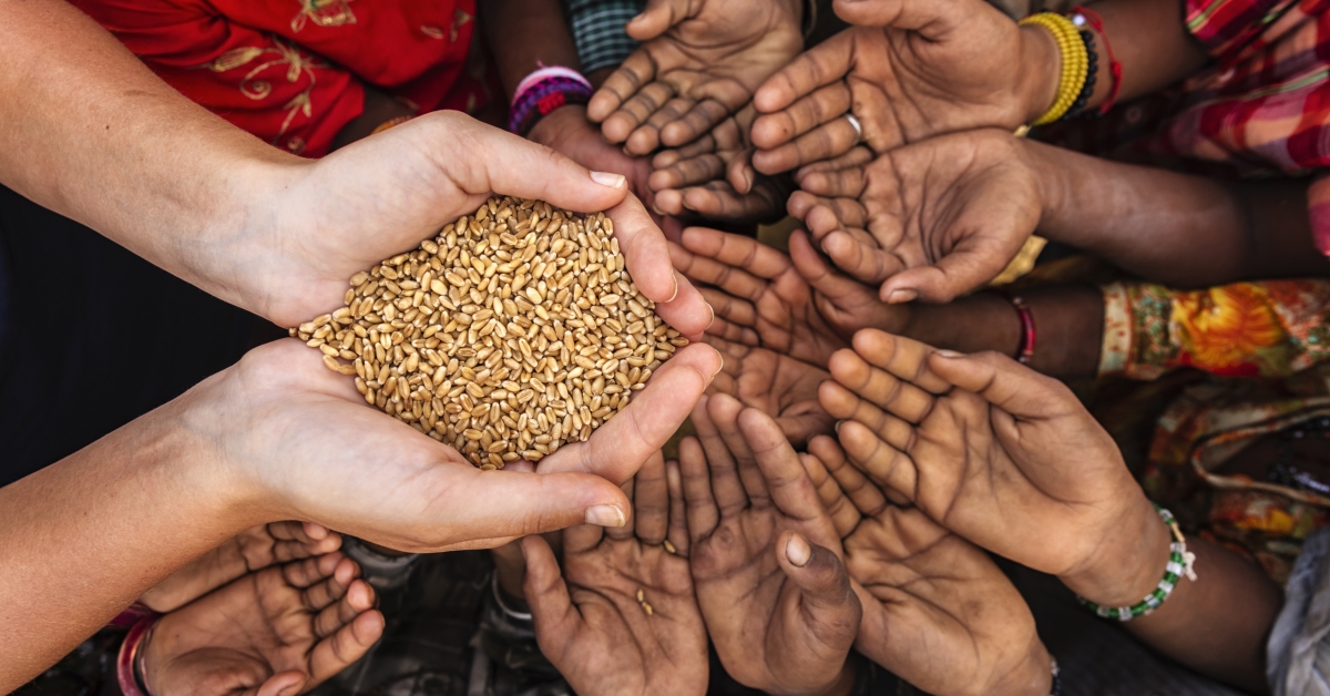 Humanit_Health's tweet card. Support Our Work | Center for Humanitarian Health