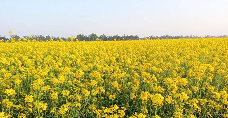 souravcseuap's tweet card. ভক্তদের বড় সুখবর দিলেন বার্সেলোনা সভাপতি ভক্তদের বড় সুখবর দিলেন বার্সেলোনা সভাপতি