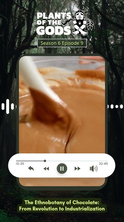 _DMMA's tweet card. The Ethnobotany of Chocolate From Revolution to Industrialization...