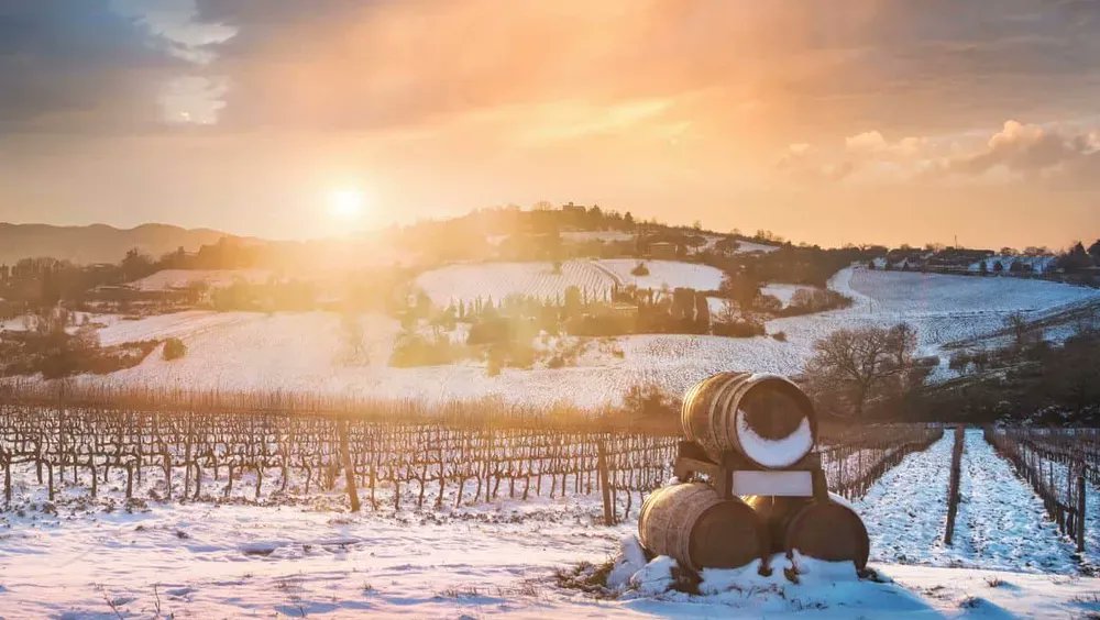 EdgeMediaNet's tweet card. Americans are rediscovering the joy of the open road, with 83% of travelers planning to take a road trip this summer, and 6 in 10 driving 300 miles or more this year for their vacations. With flight...