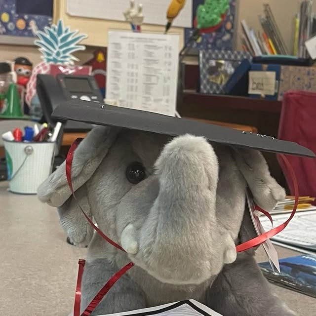 MercedesSmith47's tweet card. Mercedes Smith (@runswimbiketeach) • Instagram photo