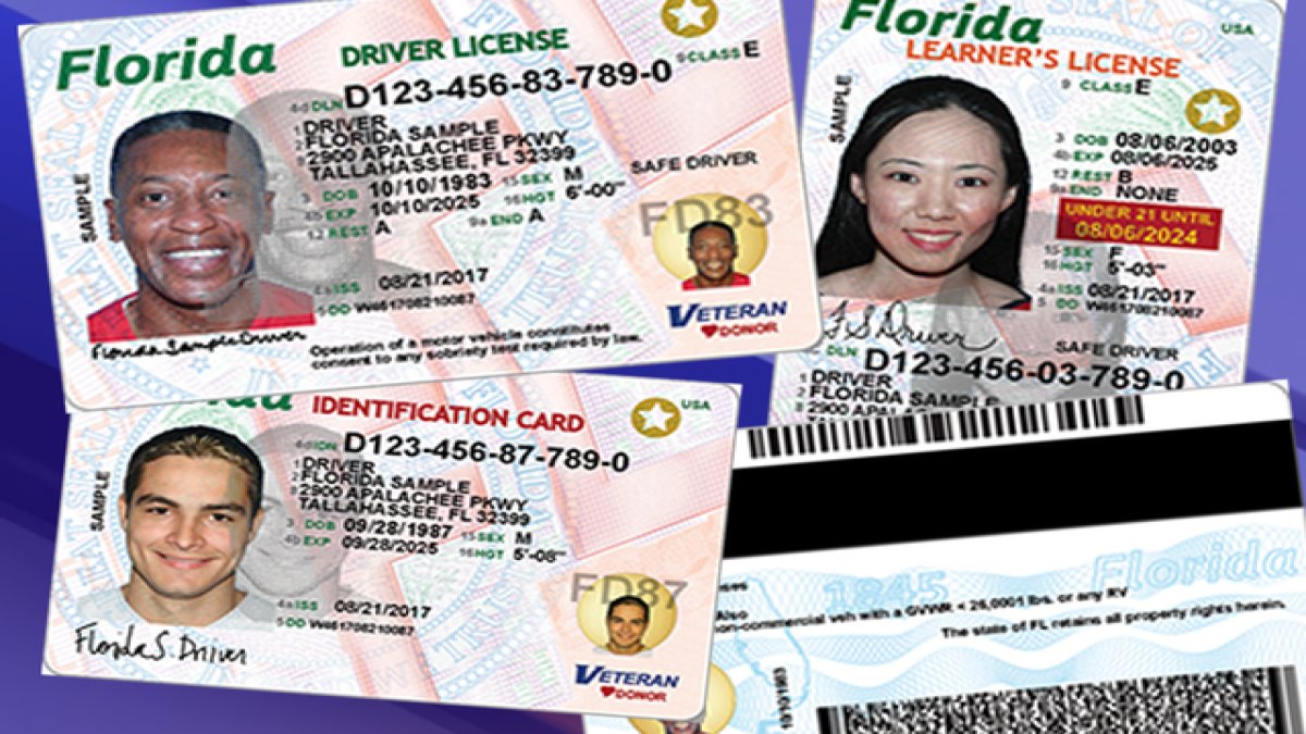 a_dalbore's tweet card. The Florida Department of Highway Safety and Motor Vehicles will begin issuing a new, more secure Florida driver license and ID card.