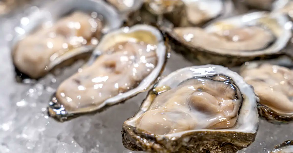 RemediOSproject's tweet card. Las ostras tienen una gran capacidad de absorber carbono, filtrar agua y restaurar ecosistemas. En el mar Menor se van a cultivar 55.000 ejemplares