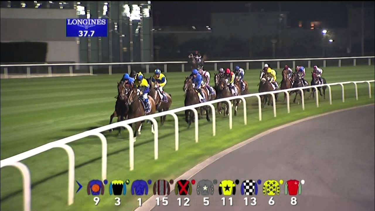kurokisidao's tweet card. 29.03.2014 Meydan (Dubai-UAE) 8.Race Dubai Sheema Classic 2014 -...