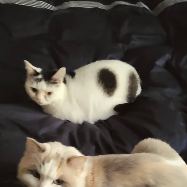 MR_KANGGUN's tweet card. 강민혁 KANG MIN HYUK (@mr_kanggun) • Instagram photo