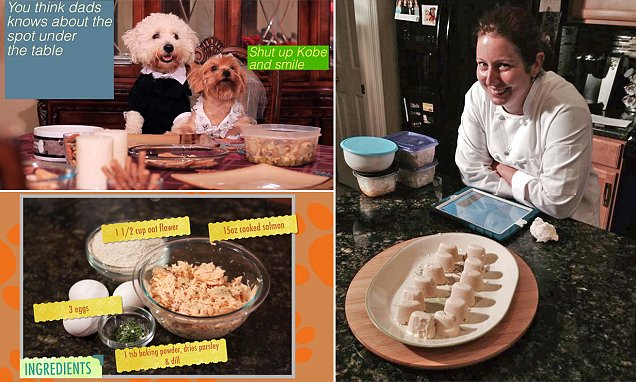 DogTreatNews's tweet card. Like man, the way to a dog's heart is through its stomach. No one knows that better than Kris Rotonda and Denise Fernandez, the couple who conceived the Doggy Cooking Network.