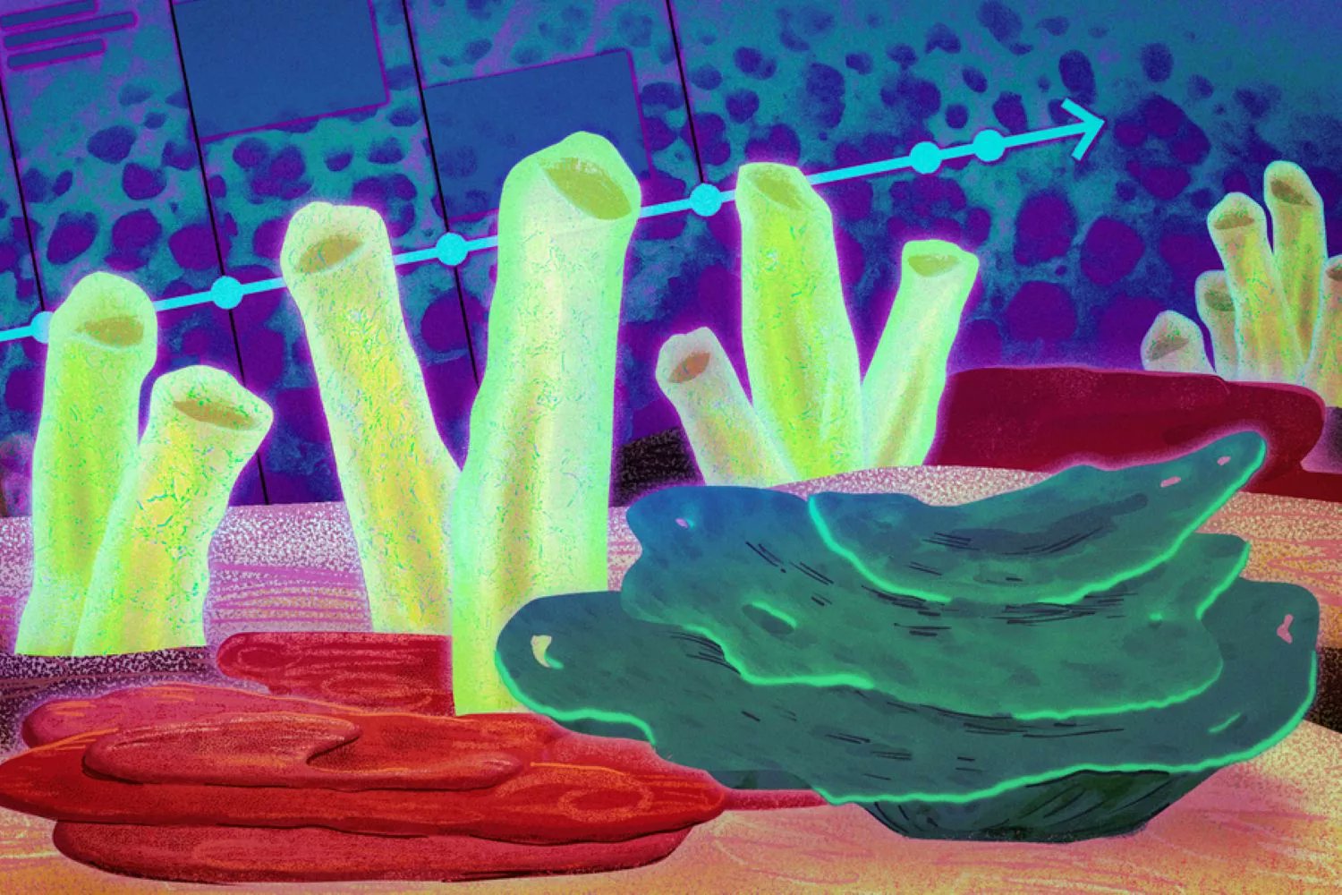 TechExplorist's tweet card. Researchers traced chemical fossils in ancient rocks to the ancestors of modern-day demosponges.