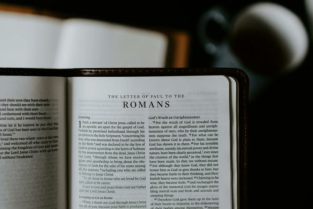 mporeilly's tweet card. What motivated the apostle Paul? Paul's letter to the Romans is one of the most preached books of the Bible. And much (most?) of that preaching has focused in on one theme in particular. If you've...