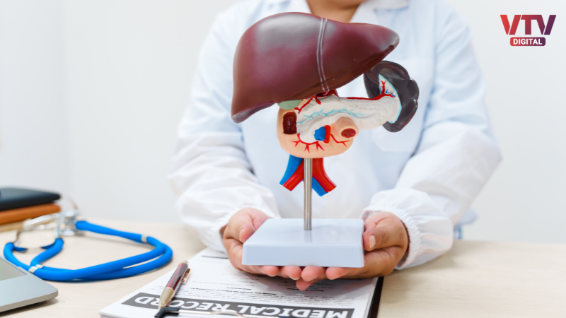 VtvGujarati's tweet card. લીવર સંબંધિત સમસ્યાને યોગ્ય સમયે સારવાર ન કરવામાં આવે તો તે સિરોસિસ અથવા લીવર કેન્સર જેવા ગંભીર બીમારીમાં ફેરવાઈ શકે છે. તમારી રોજિંદા ખાવાની આદતોમાં થોડા નાના ફેરફારો કરવાથી ફેટી લીવર સરળતાથી અટકાવી...