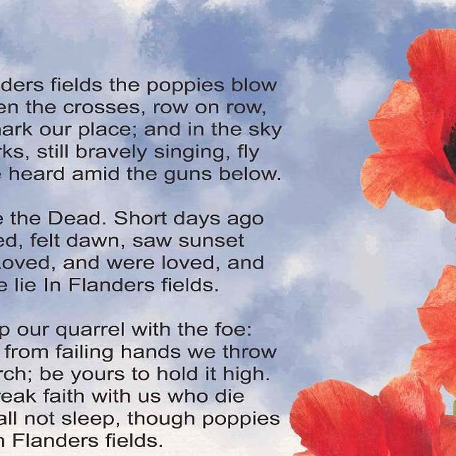 accentwindowc's tweet card. Accent Window Care #yeg (@accentwindowcare) • Instagram photo