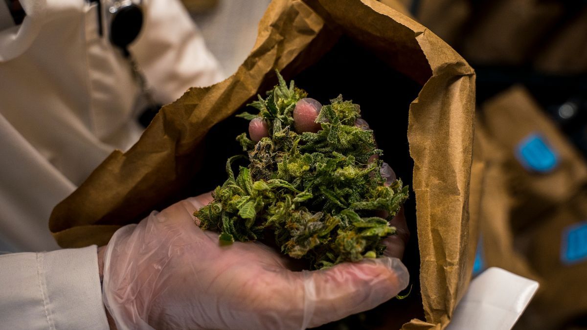 Sechat_Oficial's tweet card. Pesquisa revela que concentrações de THC acima dos cortes usados em leis de direção sob influência podem permanecer no sangue dias após o último uso, sem indicar prejuízo na capacidade de dirigir