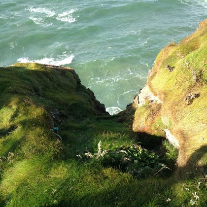 Tweet card summary image