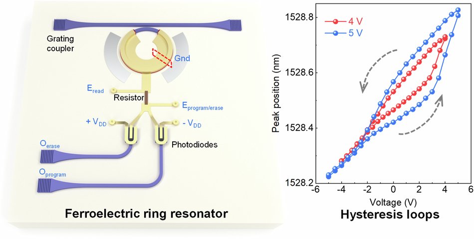 LightSciAppl's tweet card. Light: Science & Applications - A non-volatile memory with information stored in the polarization of the ferroelectric material and can be read out via capacitance and resonant wavelength.