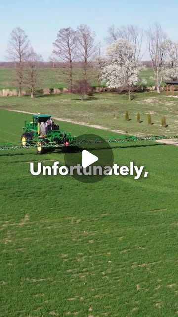 TechSupportFarm's tweet card. GFY.Ag (@gfy.ag) • Instagram reel