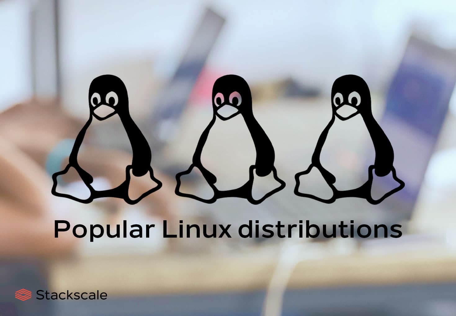 StackScale's tweet card. We have gathered some of the most popular Linux distributions. GNU/Linux OS are Unix-like and open source, and based on the Linux kernel.