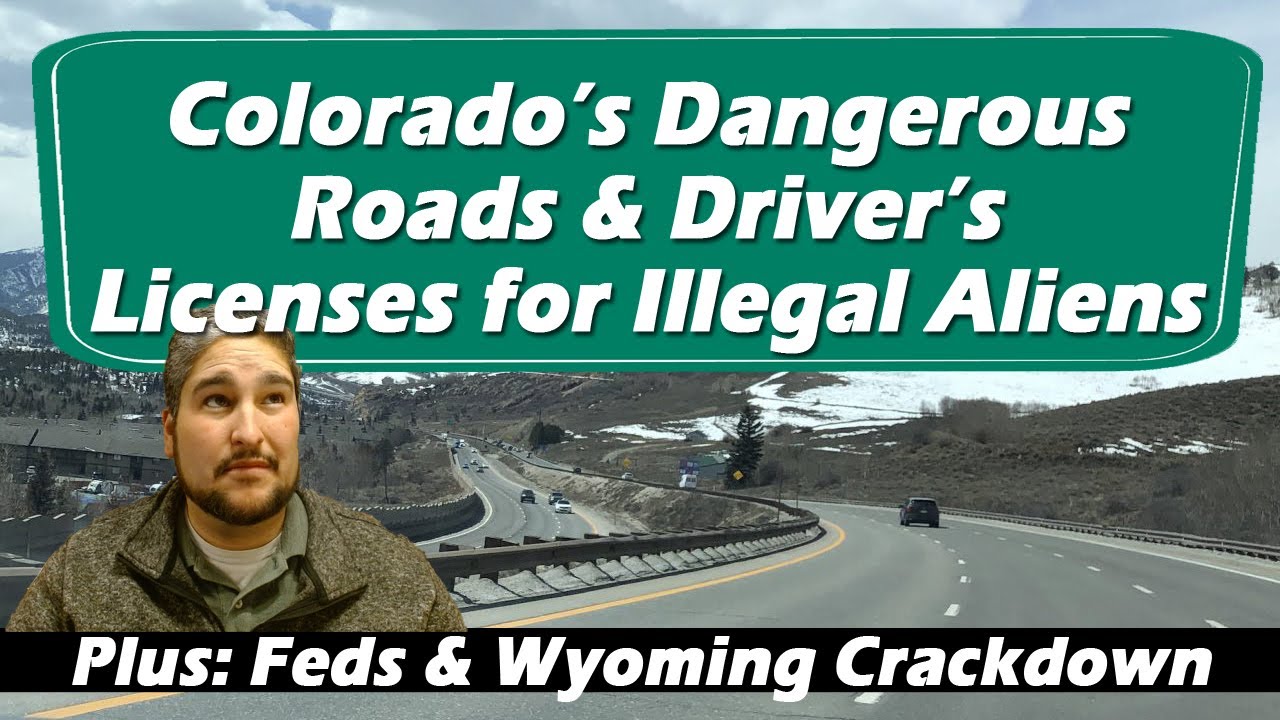 FreeStateColor1's tweet card. Immigrant Truck Drivers, What the Media Didn't Say & Colorado's...