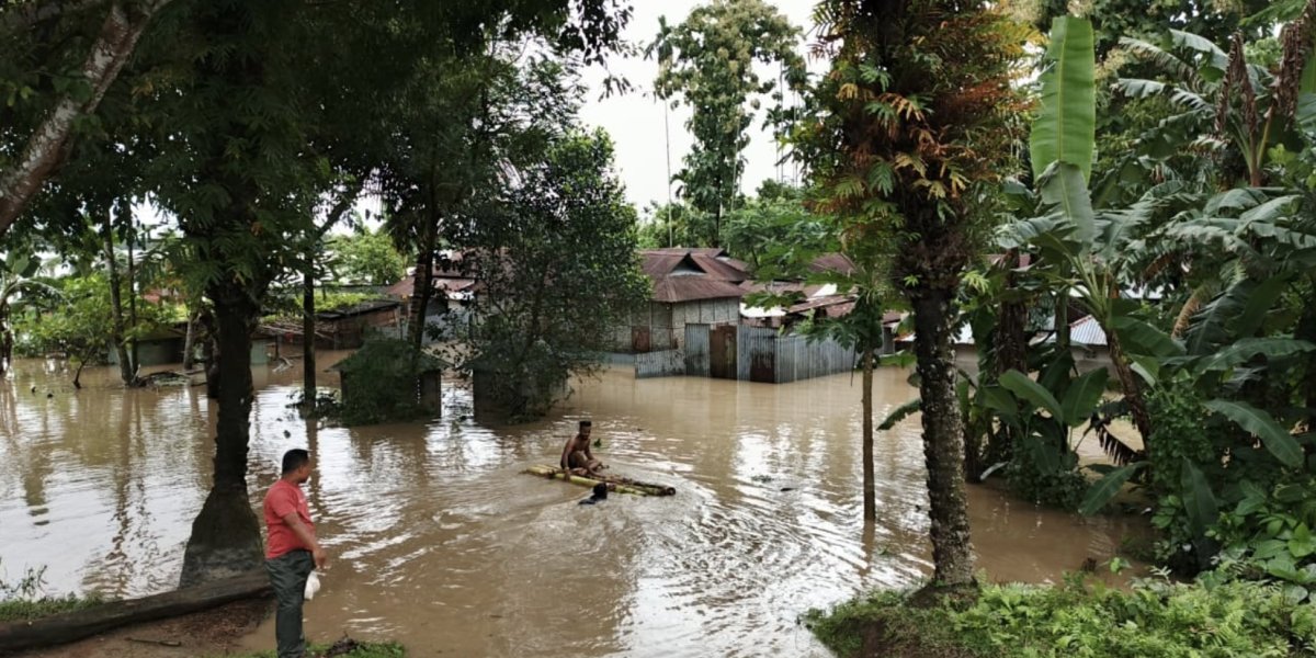 ProgIntl_ES's tweet card. En India, la fragilidad ecológica del norte de Bengala se está agravando rápidamente debido a un modelo turístico impulsado por una construcción descontrolada posibilitada por la complicidad política.