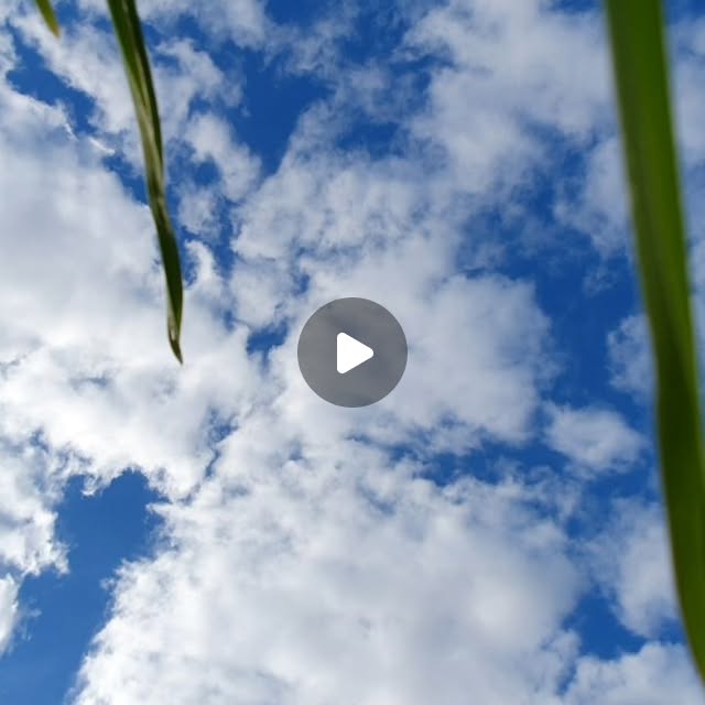 ProximaRobotics's tweet card. Proxima Robotics s.r.l. (@proximarobotics) • Instagram video