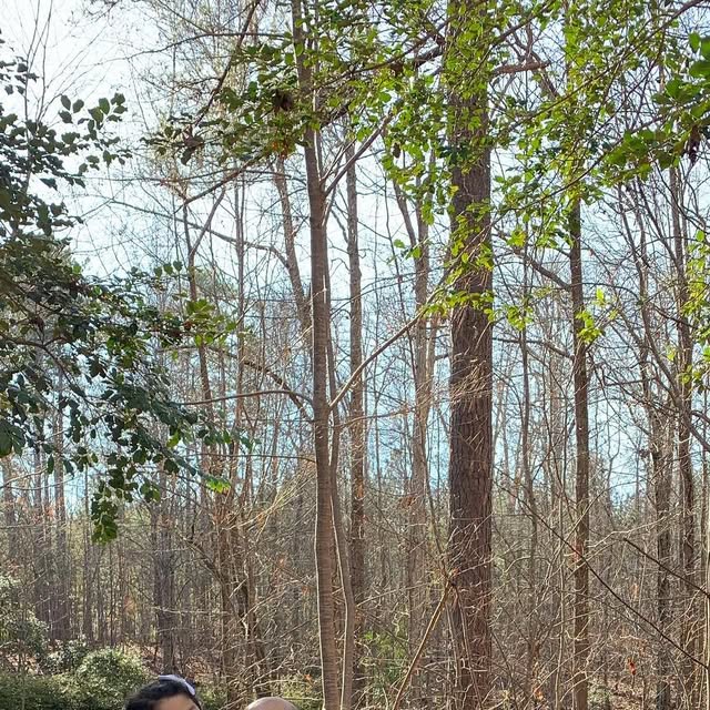 joshdchang's tweet card. Josh Chang (@joshdchang) • Instagram photo