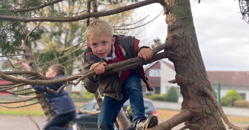 Tweet card summary image