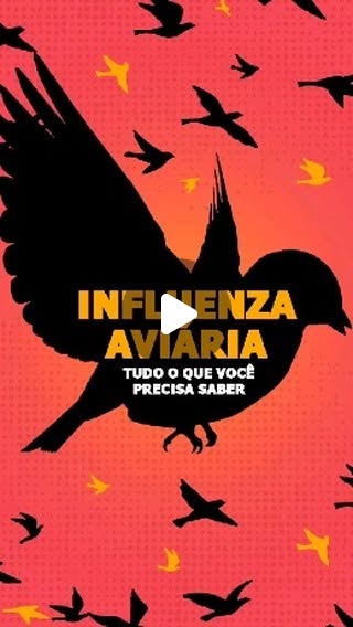 adapi_pi's tweet card. ADAPI (@adapi_pi) • Instagram reel