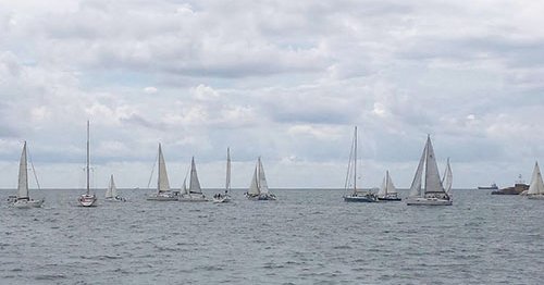 Tweet card summary image