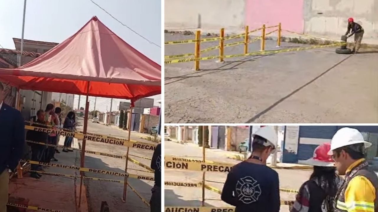 LsrHidalgo's tweet card. Personal de Protección Civil atendió el llamado de los vecinos y resguardó la zona para comenzar las diligencias correspondientes