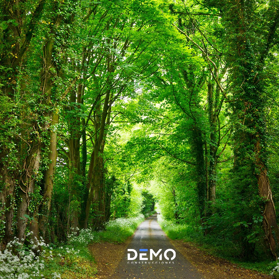 DemoConstru's tweet card. Compromiso con el medio ambiente | En DEMO Construcciones estamos comprometidos con el respeto por medio ambiente y el desarrollo del ecosistema. Es por ello que gestionamos de manera adecuada...
