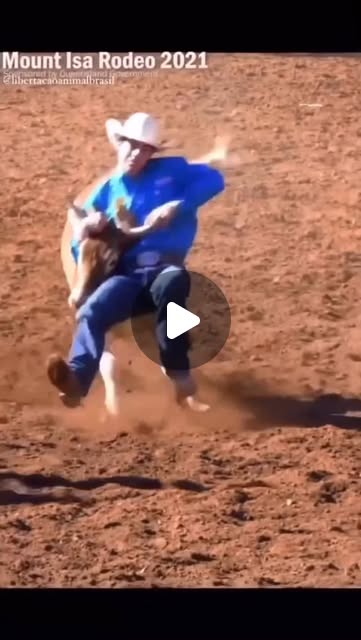 RodeNode's tweet card. Kara Nipperess (@stop.using.animals_) • Instagram reel