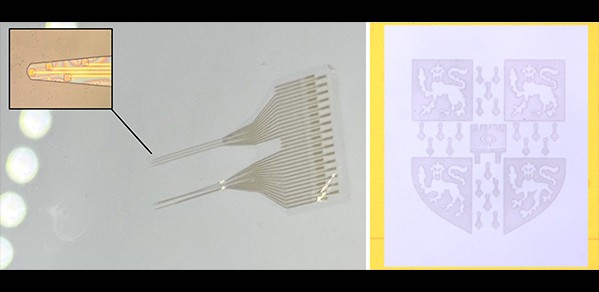 Cambridge_Eng's tweet card. New research involving a team of scientists from the University of Cambridge, Rice University and Stanford University, could make bioelectronic devices easier and more reliable to manufacture – all