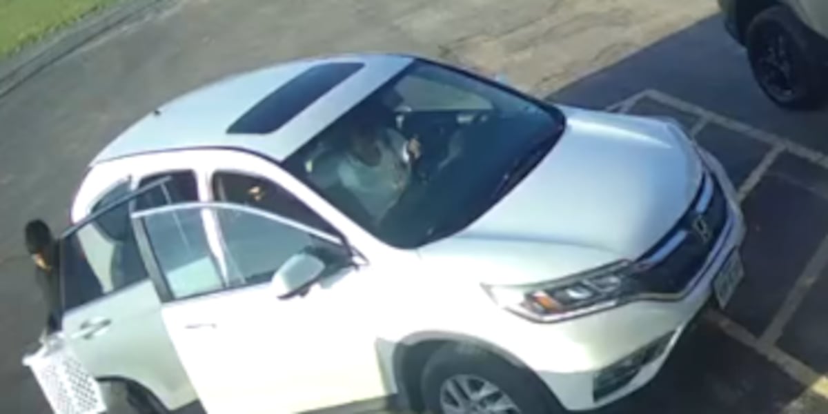 CBS7News's tweet card. The Howard County Sheriff’s Department is asking for the public’s help identifying two suspects involved in the illegal abandonment of five dogs at a humane society.