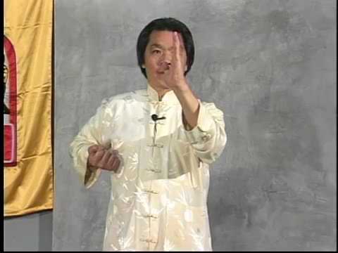 wingchunbeograd's tweet card. Sil Lim Tao - Siu Nim Tao (in slow motion) - Grandmaster William...