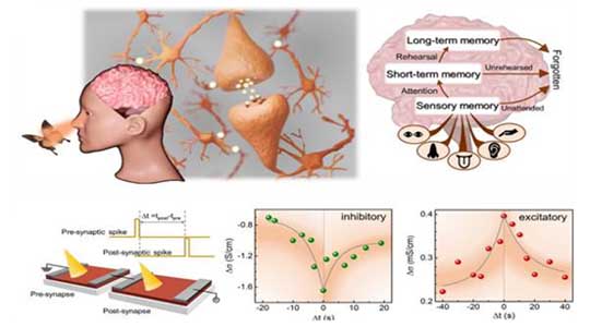 era_electronics's tweet card. Scientists have used scandium nitride (ScN), a semiconducting material with supreme stability and Complementary Metal-Oxide-Semiconductor (CMOS) compatibility, to develop brain-like computing.